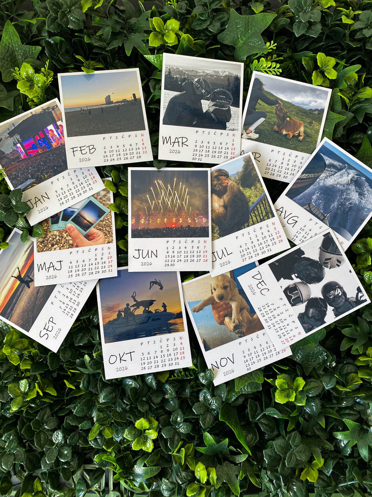 koledar magnetni 2026